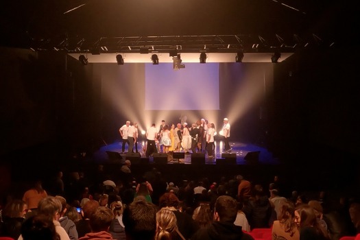 Image de la troupe Danc Sing Show. Sacha Rives