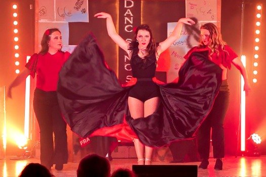 Image de la troupe Dancsingshow. Sacha Rives